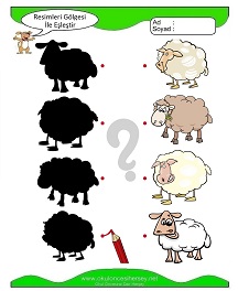 Gölgesi İle Eşleştir Çalışma Sayfaları